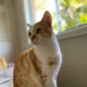 Photo of Neddy