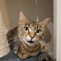 Photo of Molly