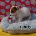 Photo of Ruffles