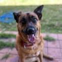 Photo of Luna