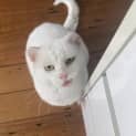 Photo of Edward 