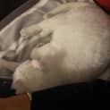 Photo of Edward 