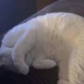 Photo of Edward 