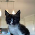 Photo of Bubbles