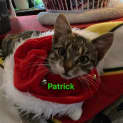 Photo of Patrick