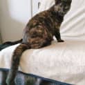 Photo of Betty 