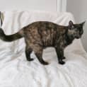 Photo of Betty 