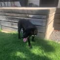 Photo of Tyson