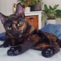 Photo of Mimi
