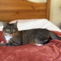 Photo of Puddy (Poppy) 🌹