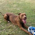 Photo of Mack