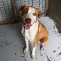 Photo of Wally 34049 Campbelltown Acf
