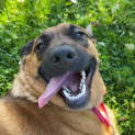 Photo of Luna