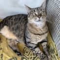 Photo of Princess