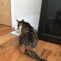 Photo of Holly