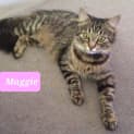 Photo of Maggie