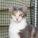 Photo of Duchess