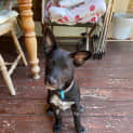 Photo of Nancy