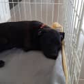 Photo of Trucka