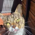 Photo of Alfie