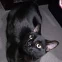 Photo of Oliver