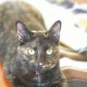 Photo of Betty 