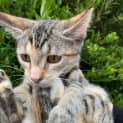 Photo of Lilly