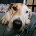 Photo of Butter