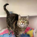 Photo of Cleo