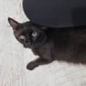 Photo of Matrix
