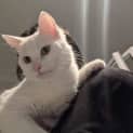 Photo of Aurora