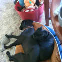 Photo of Mav