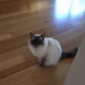 Photo of Bonnie