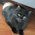 Photo of Nixie