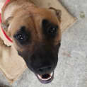 Photo of Reina