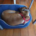 Photo of Reina