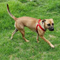 Photo of Reina