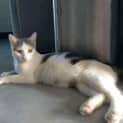 Photo of Zari