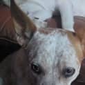 Photo of Coorah