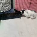 Photo of Winnie & Onix