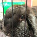 Photo of Winnie & Onix