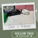 Photo of Winnie & Onix
