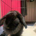 Photo of Winnie & Onix