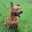 Photo of 34178 Gucci Campbelltown Acf
