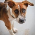 Photo of Zena