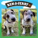 Photo of Jerry