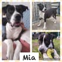 Photo of Mia