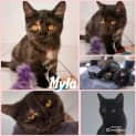 Photo of Myla