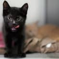 Photo of Elroy