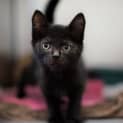 Photo of Elroy